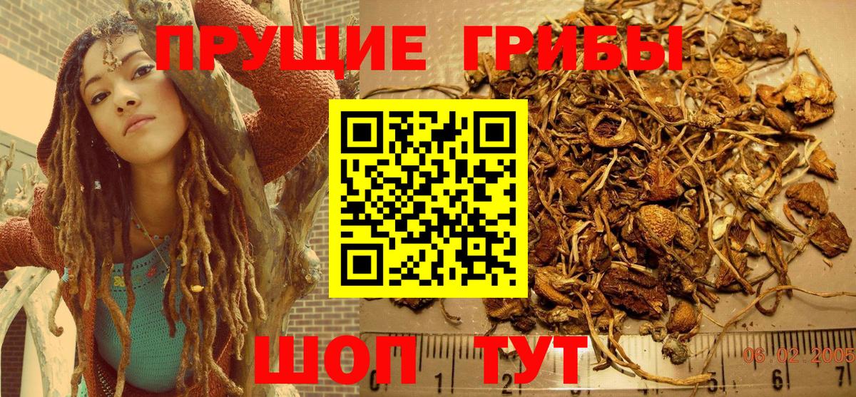 Элиста  Галлюциногенные грибы MAGIC MUSHROOMS  Вход с VPN 