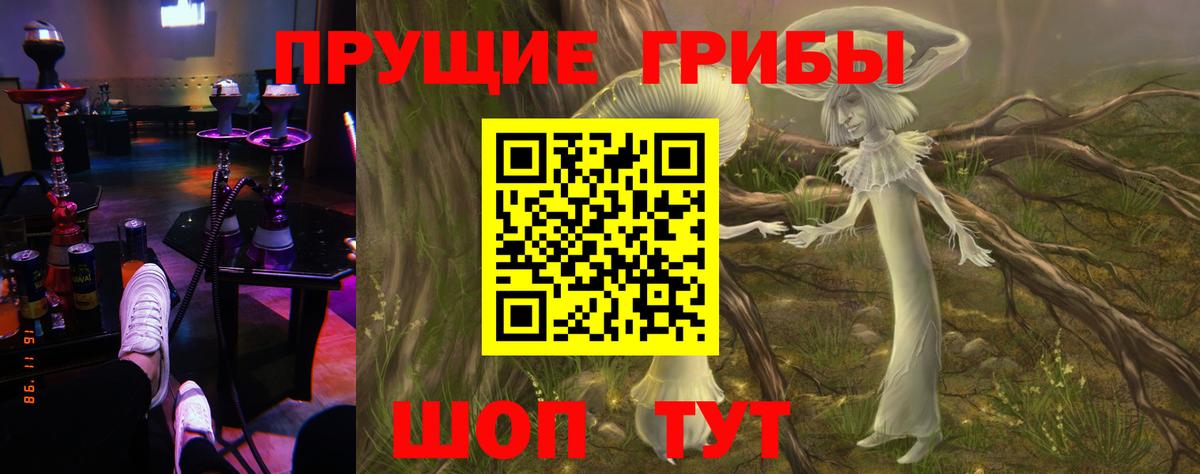 Галлюциногенные грибы Psilocybine cubensis Элиста